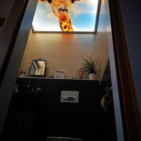 Kleines Badezimmer mit Giraffen-Bild an der Decke, moderner Toilette und Pflanzen.